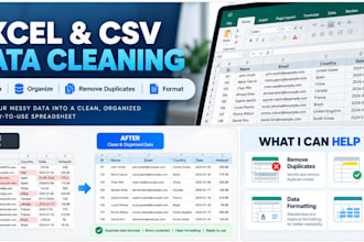 clean and organize your excel or CSV data