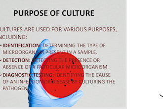 design, format, design modern powerpoint presentation slides