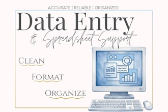 do accurate data entry and spreadsheet cleanup
