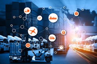 provide professional logistics and supply chain consulting services