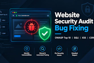 do a website security audit and bug fixing