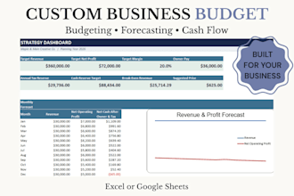 create a custom business budget and financial projections