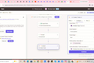 provide IT support, project management, workflow automation