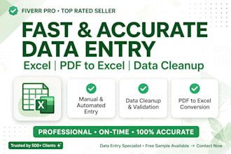 do data entry excel cleanup and pdf to excel conversion