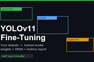 finetune yolo on your custom dataset