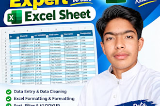 do excel data entry, survey data and data cleaning work