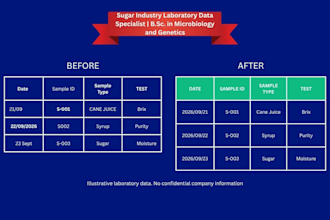 do accurate data entry and excel spreadsheet cleanup