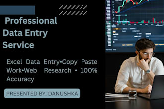 do professional data entry, excel data cleanup, and web research