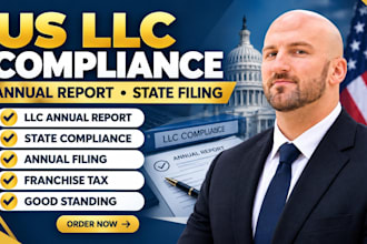 file your US llc annual periodic report and state compliance