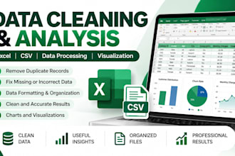 analyse, clean and visualise your data professionally