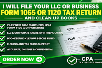 file your llc form 1065 or 1120 return and clean up books as a CPA