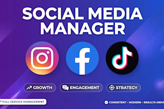 be your expert social media manager for instagram growth