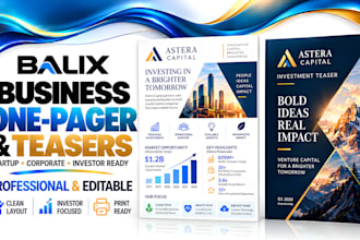design a business one pager and investment teaser