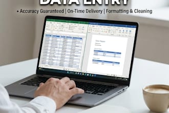 do expert data entry, ms word and excel work