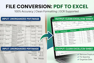convert PDF to excel, clean messy data, and organize sheets