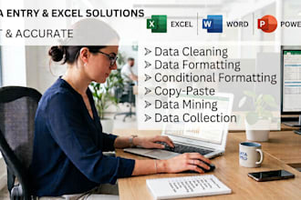 do professional data entry and excel expert task
