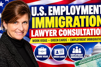 do US employment immigration lawyer consultation for work visas green cards