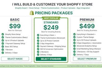 build a high converting shopify store, shopify stor