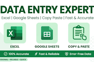 do excel data entry copy paste typing  data conversion