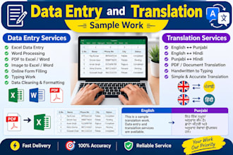 do accurate data entry and translation work