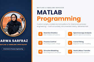 provide expert matlab programming for chemical engineering projects