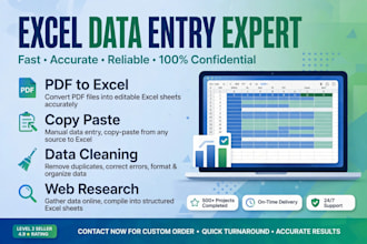 do accurate  data entry and excel  work fast