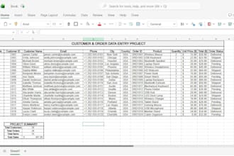 provide professional data cleanup, advanced excel