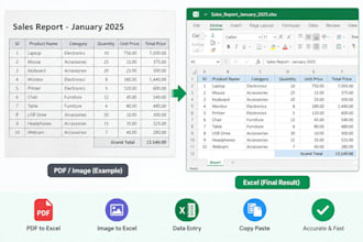 do data entry, PDF to excel, image to excel and copy paste