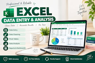 do excel data entry and data cleaning