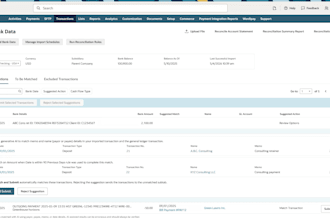 provide netsuite functional consulting service