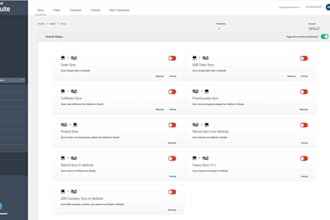 provide oracle netsuite integration services