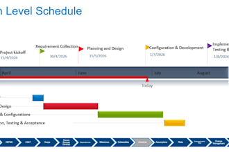 manage large complex IT projects delivery on time and budget