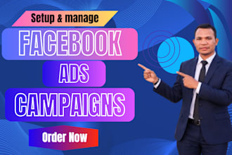 setup facebook ads campaign and meta ads marketing