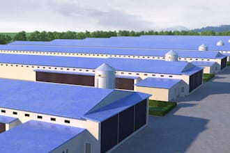 design cgi 3d poultry farm, chicken farm, broiler farm and poultry layout