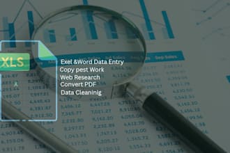 do professional data entry web research, and copy paste work