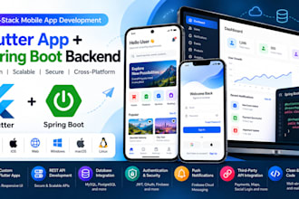 develop a flutter app with spring boot backend