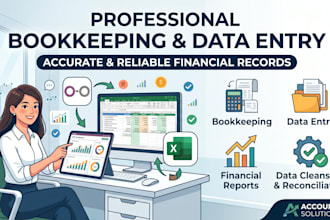 provide expert bookkeeping and financial data entry