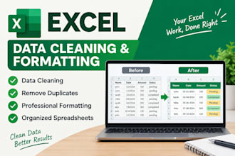 clean, format and organize your excel spreadsheet