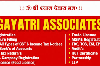 do professional gst filing, tally bookkeeping, and company registration