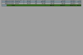 do accurate excel data entry, inventory listing, and invoice data formatting