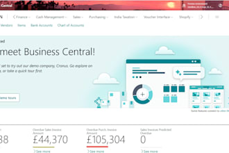 develop and customize business central al