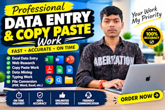 do professional data entry and copy paste work