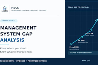 perform a tailored management system gap analysis