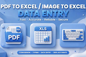 do expert data entry, excel, web research and pdf conversion
