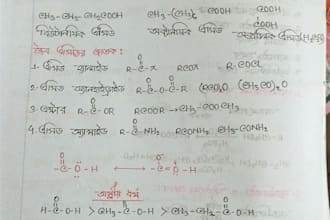 write letter, paragraph, content