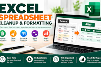 clean, format and organise your excel spreadsheet