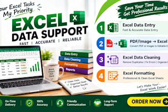do excel data entry, merge, PDF to excel and data cleaning
