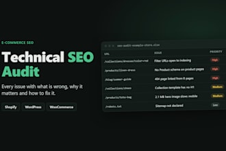 do a technical SEO audit for your shopify or wordpress store