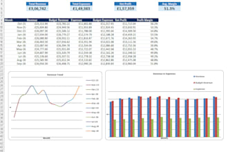 create a professional excel dashboard and financial report