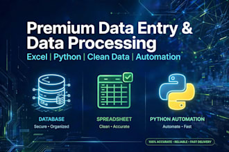 do python data cleaning, excel data entry, and automation
